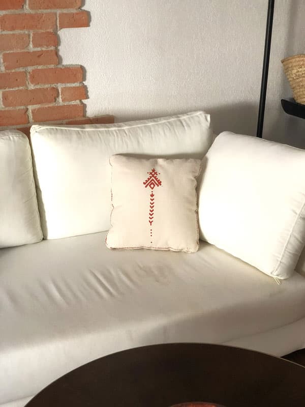 Coussin Graines