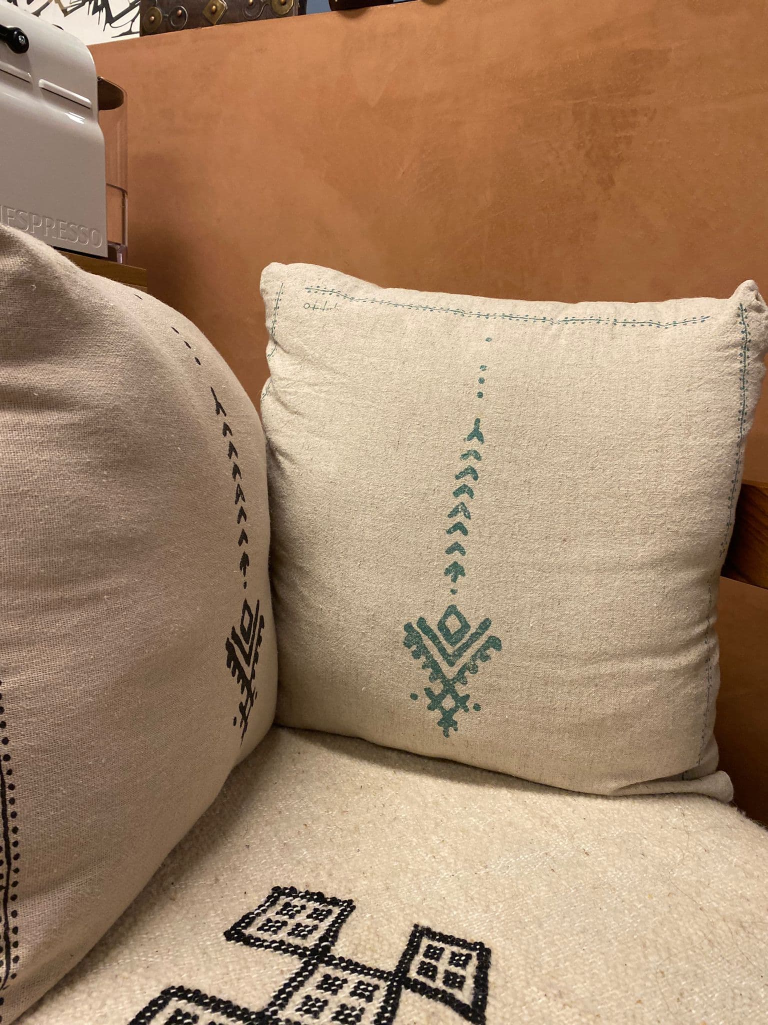 Coussin Graines